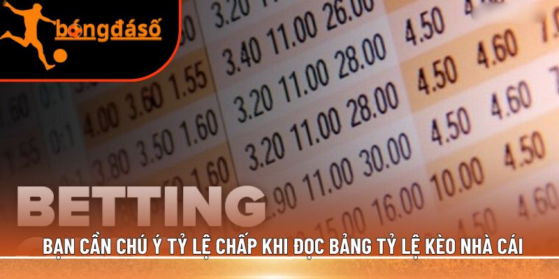 đọc bảng tỷ lệ kèo nhà cái