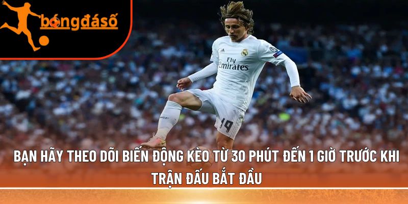 Bạn hãy theo dõi biến động kèo