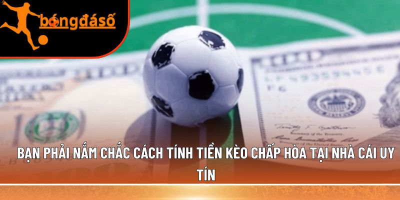 cách tính tiền kèo chấp hòa