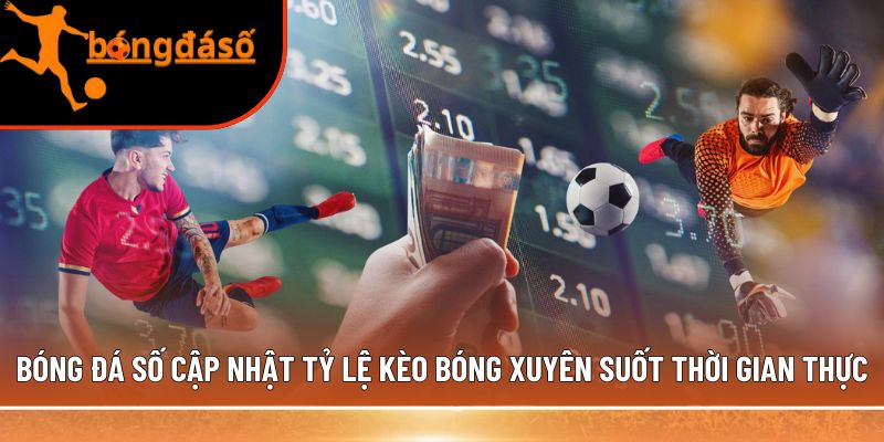 Bóng Đá Số cập nhật tỷ lệ kèo bóng 
