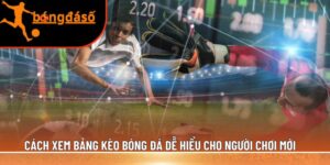 cách xem bảng kèo