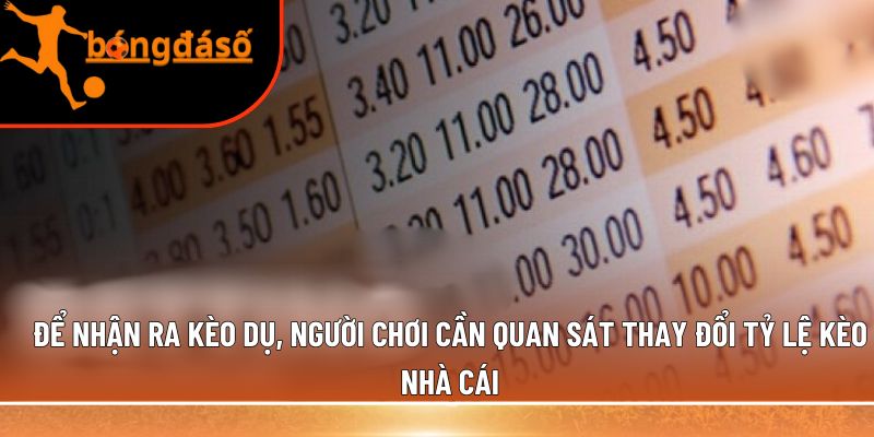 thay đổi tỷ lệ kèo nhà cái