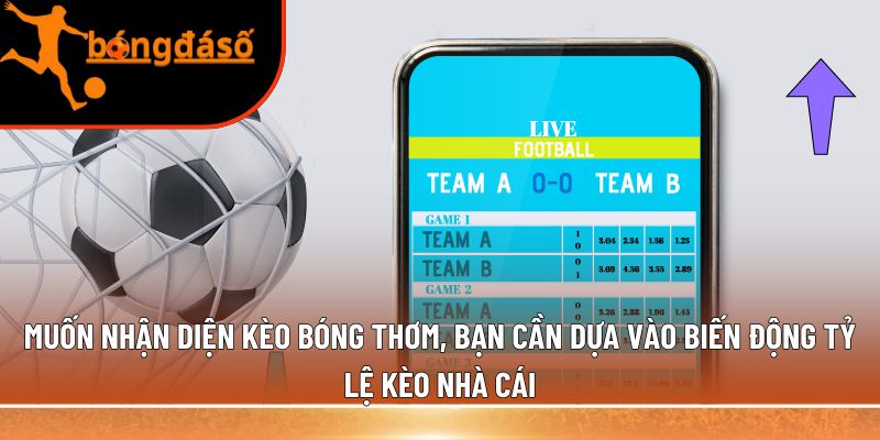 Muốn nhận diện kèo bóng thơm