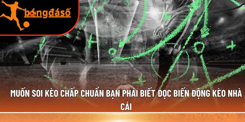 đọc biến động kèo nhà cái