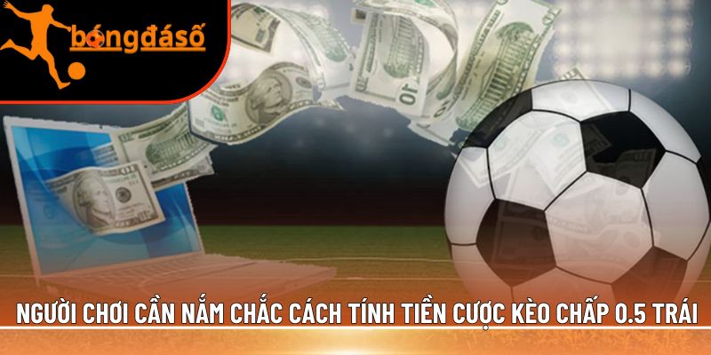 cách tính tiền cược kèo chấp 0.5 trái
