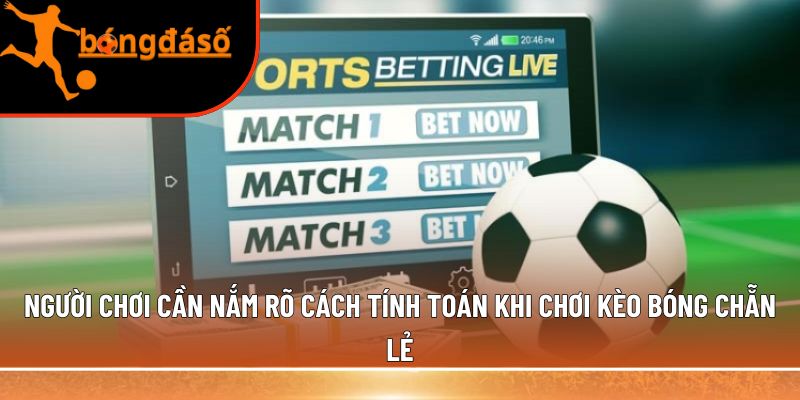 Người chơi cần nắm rõ cách tính toán