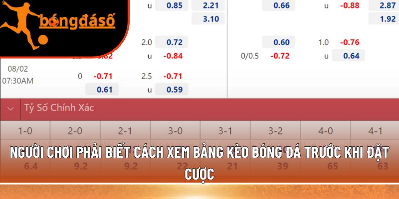 cách xem bảng kèo bóng đá 