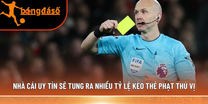  tỷ lệ kèo thẻ phạt thú vị