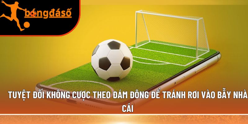 tránh rơi vào bẫy nhà cái