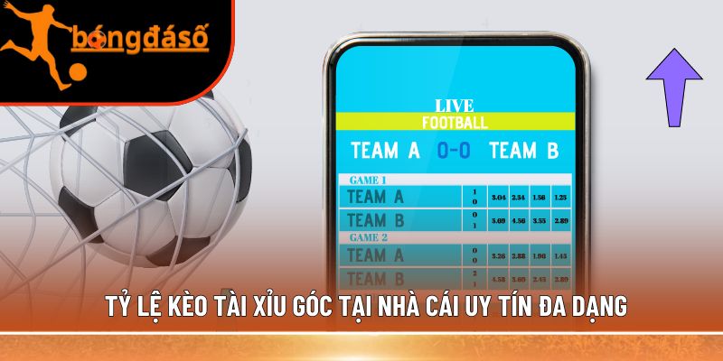 Tỷ lệ kèo tài xỉu góc tại nhà cái uy tín đa dạng