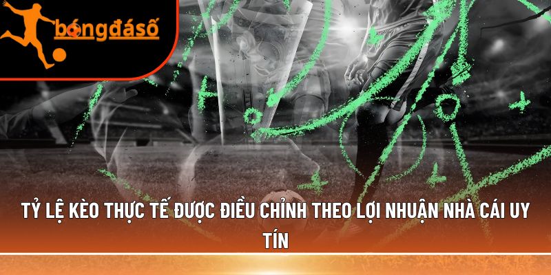 Tỷ lệ kèo thực tế 